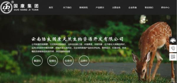 重庆网站seo优化网站宣传力度 第1张